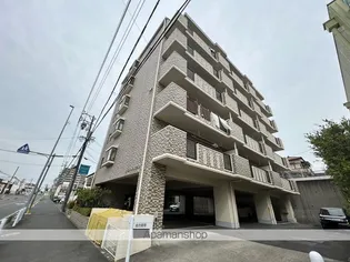 エルセリートオーテの画像