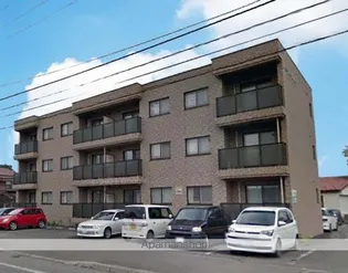 ピープル木野の画像