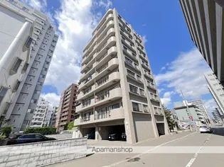 ライオンズヴィアーレ大通の画像