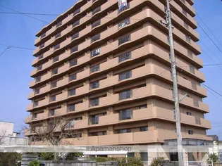 マリベール中須賀【8階】の外観