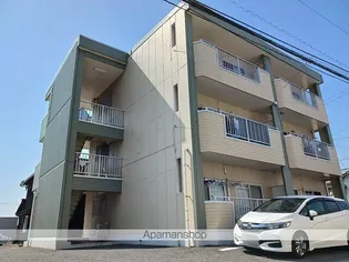 ニューマリッチ メイの画像