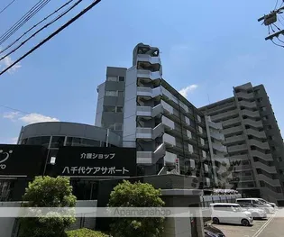 ラセットアベニューの画像