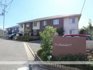 シャーメゾンエンジェルの画像