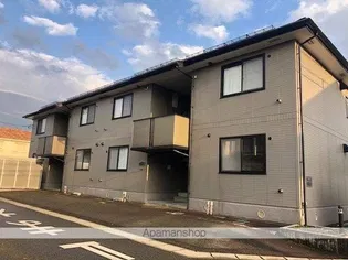 ミレニアム桜の画像