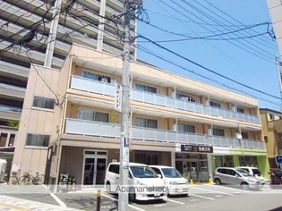 コスモ33の画像