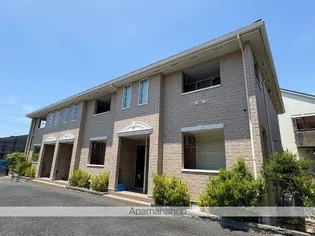 サザンクロスの画像