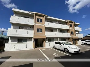 アンドルファンの画像