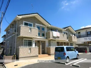 サニーブライトの画像