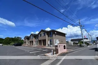 RAY SAKAMOTOの画像