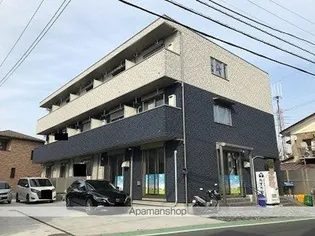 シリウステラスの画像