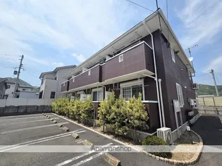 プラスパーBの画像