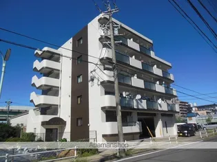 ジュニオの画像