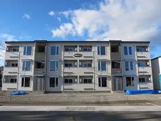 TOWN西5南17ベリーⅡA【1階】の外観