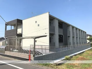 MAKIの画像