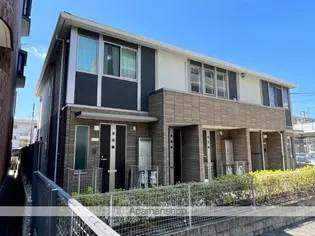 サンフラワーの画像