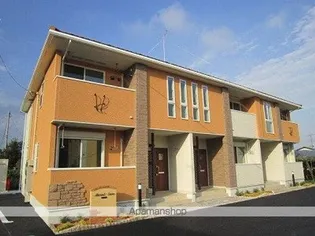 マリソルゾルテの画像