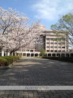 原町グランドハイツ【703号室】の周辺