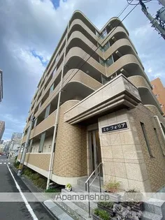 ミゥ フォリアの画像