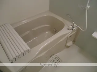 プチ・ディアコート【2階】の風呂