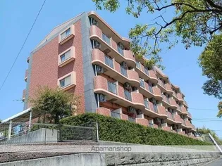 ハミングバード上吉田の画像