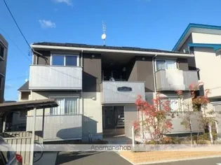 コリーヌの画像