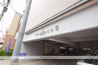 ペガサス9の画像