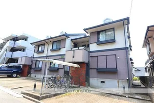 プリムローズAの画像