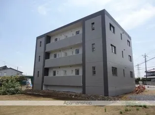 ブレインコート ヒロの画像