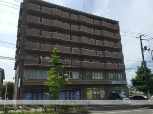 ロワールT Nの画像