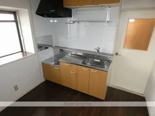 GREEN VIRA【203号室】のキッチン