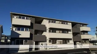 ラッフィナートプラシードの画像