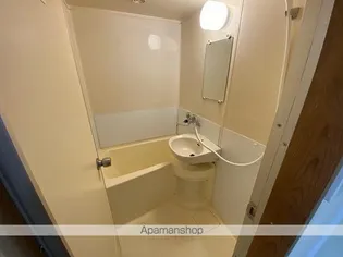 テラスリバーサイド【202号室】の風呂