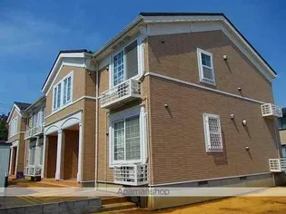 ヴィータ ローザの画像