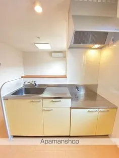 パークサイド早稲田 A【2階】の内装