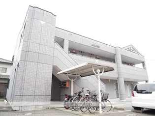 ミューズの画像