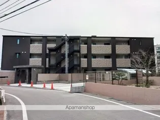 MOMOの画像
