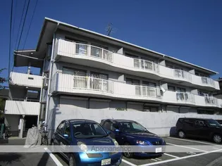 ドルフR&Mの画像