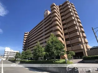サクラメントアヴェニューの画像