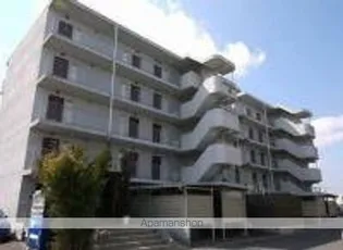 サンタクロスBの画像