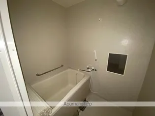 スカイビュー高須台【202号室号室】の風呂