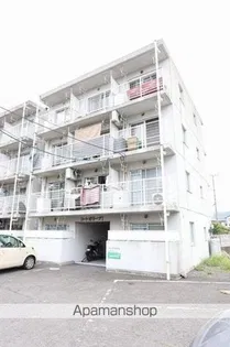 コートオリーブIIIの画像
