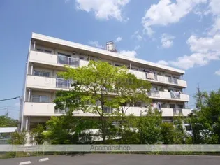 ハイネスやまざきの画像