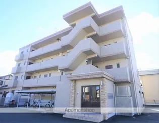 FELICE GATTO YOKOSUKAの画像