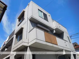 ステラアレアの画像
