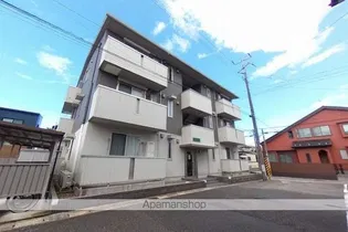 オリーブの画像