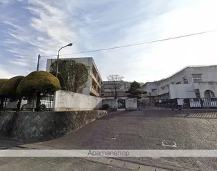 クレマチス【A202号室】の周辺