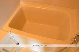 リヴィエール412D【3階】の風呂