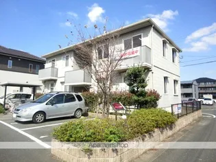 ソフィア小森野の画像