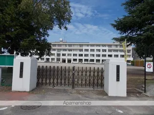 ハイツリバーランド【203号室】の周辺