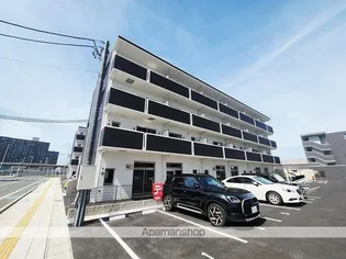 PALM TREE IIの画像